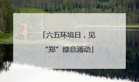 六五环境日，见“郑”绿意涌动