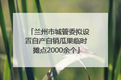兰州市城管委拟设置自产自销瓜果临时摊点2000余个
