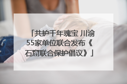 共护千年瑰宝 川渝55家单位联合发布《石窟联合保护倡议》