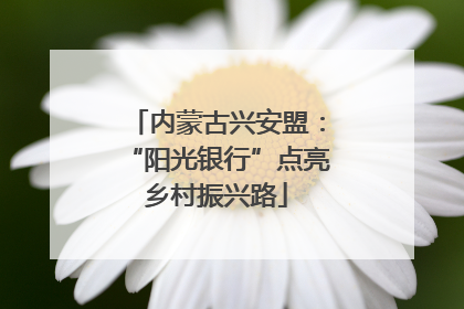 内蒙古兴安盟：“阳光银行”点亮乡村振兴路