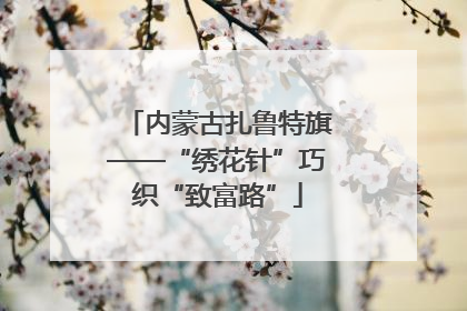 内蒙古扎鲁特旗——“绣花针”巧织“致富路”