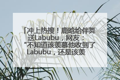 冲上热搜！鹿晗给伴舞送Labubu，网友：“不知道该羡慕他收到了Labubu，还是该羡慕鹿晗送他礼物”