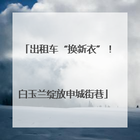 出租车“换新衣”！白玉兰绽放申城街巷