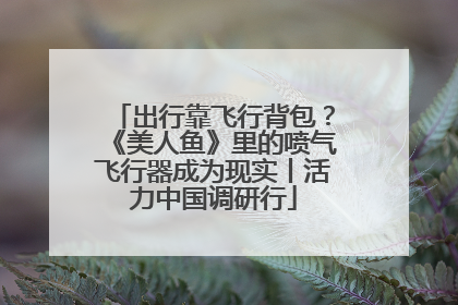 出行靠飞行背包？《美人鱼》里的喷气飞行器成为现实丨活力中国调研行