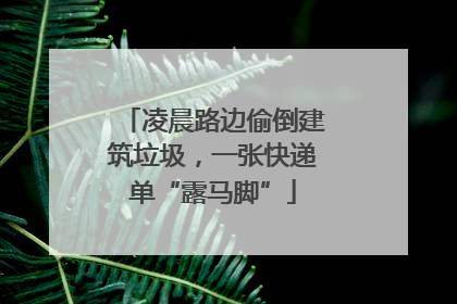 凌晨路边偷倒建筑垃圾，一张快递单“露马脚”