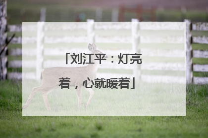 刘江平：灯亮着，心就暖着
