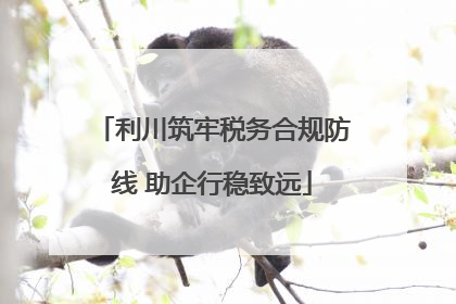 利川筑牢税务合规防线 助企行稳致远