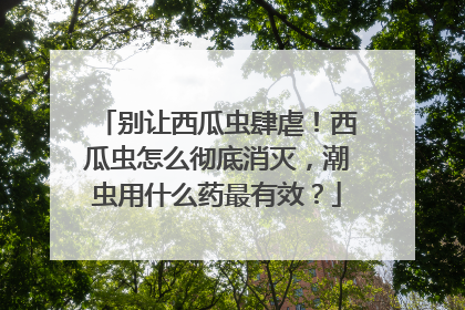 别让西瓜虫肆虐！西瓜虫怎么彻底消灭，潮虫用什么药最有效？