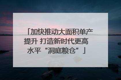 加快推动大面积单产提升 打造新时代更高水平“洞庭粮仓”