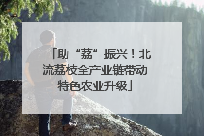 助“荔”振兴！北流荔枝全产业链带动特色农业升级