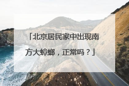北京居民家中出现南方大蟑螂，正常吗？