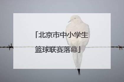 北京市中小学生篮球联赛落幕