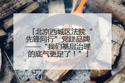 北京西城区法院“先锋同行”党建品牌——“我们基层治理的底气更足了！”