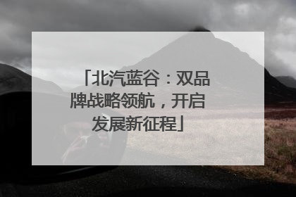 北汽蓝谷：双品牌战略领航，开启发展新征程