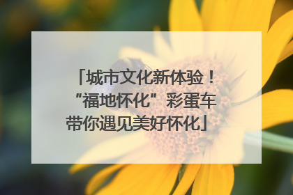 城市文化新体验！“福地怀化”彩蛋车带你遇见美好怀化