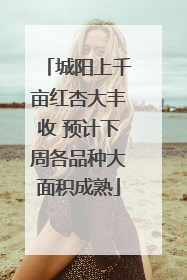 城阳上千亩红杏大丰收 预计下周各品种大面积成熟