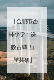 合肥市杏林小学：送教古城 互学共研