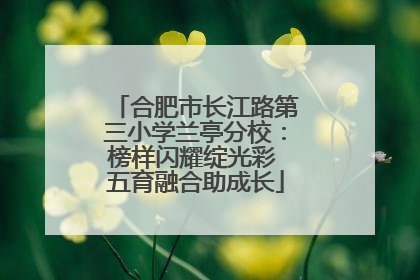 合肥市长江路第三小学兰亭分校：榜样闪耀绽光彩 五育融合助成长