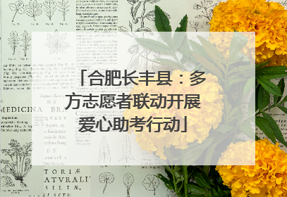 合肥长丰县：多方志愿者联动开展爱心助考行动