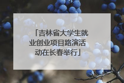 吉林省大学生就业创业项目路演活动在长春举行