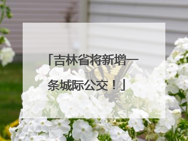 吉林省将新增一条城际公交！