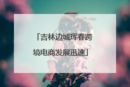 吉林边城珲春跨境电商发展迅速