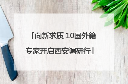 向新求质 10国外籍专家开启西安调研行