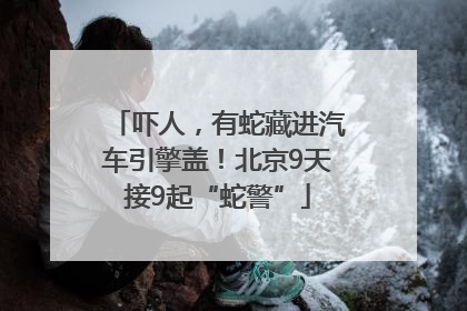 吓人，有蛇藏进汽车引擎盖！北京9天接9起“蛇警”