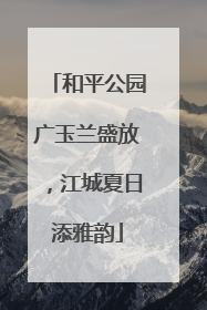 和平公园广玉兰盛放，江城夏日添雅韵