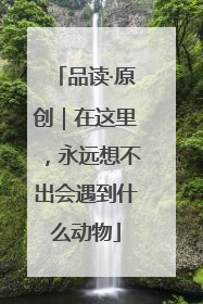 品读·原创｜在这里，永远想不出会遇到什么动物