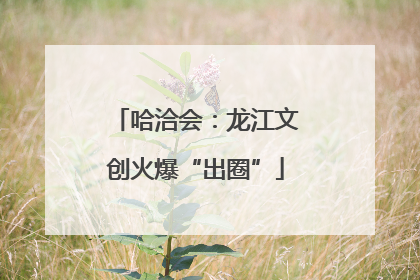 哈洽会：龙江文创火爆“出圈”