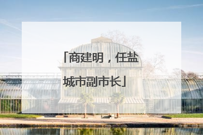 商建明，任盐城市副市长