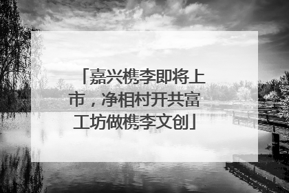 嘉兴槜李即将上市，净相村开共富工坊做槜李文创