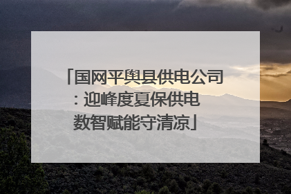 国网平舆县供电公司：迎峰度夏保供电  数智赋能守清凉