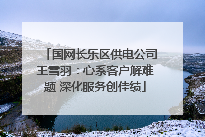 国网长乐区供电公司王雪羽：心系客户解难题 深化服务创佳绩