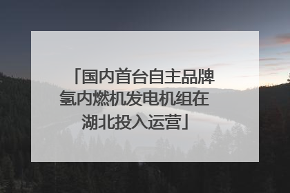 国内首台自主品牌氢内燃机发电机组在湖北投入运营