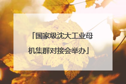 国家级沈大工业母机集群对接会举办