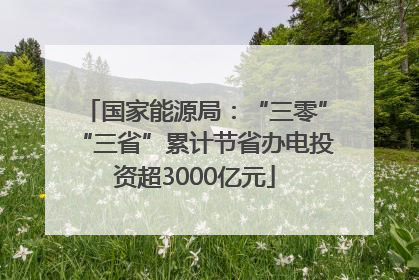 国家能源局：“三零”“三省”累计节省办电投资超3000亿元