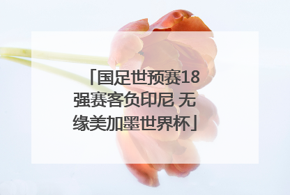 国足世预赛18强赛客负印尼 无缘美加墨世界杯