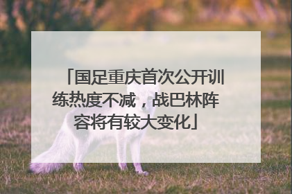 国足重庆首次公开训练热度不减，战巴林阵容将有较大变化