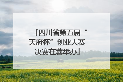 四川省第五届“天府杯”创业大赛决赛在蓉举办