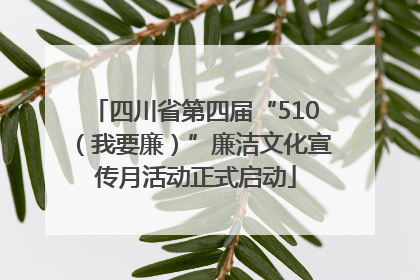四川省第四届“510（我要廉）”廉洁文化宣传月活动正式启动