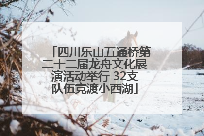四川乐山五通桥第二十二届龙舟文化展演活动举行 32支队伍竞渡小西湖