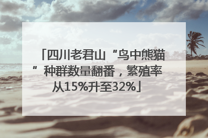 四川老君山“鸟中熊猫”种群数量翻番，繁殖率从15%升至32%