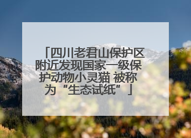 四川老君山保护区附近发现国家一级保护动物小灵猫 被称为“生态试纸”