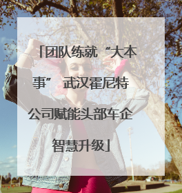 团队练就“大本事” 武汉霍尼特公司赋能头部车企智慧升级