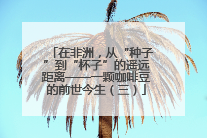 在非洲，从“种子”到“杯子”的遥远距离——一颗咖啡豆的前世今生（三）