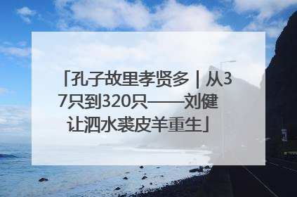 孔子故里孝贤多｜从37只到320只——刘健让泗水裘皮羊重生