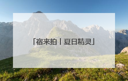 宿来拍丨夏日精灵