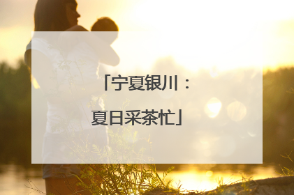 宁夏银川：夏日采茶忙